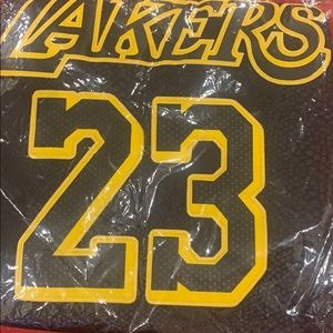 Brand new Lebron James Jersey